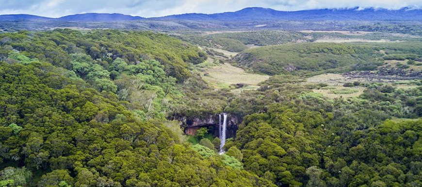 aberdares national park