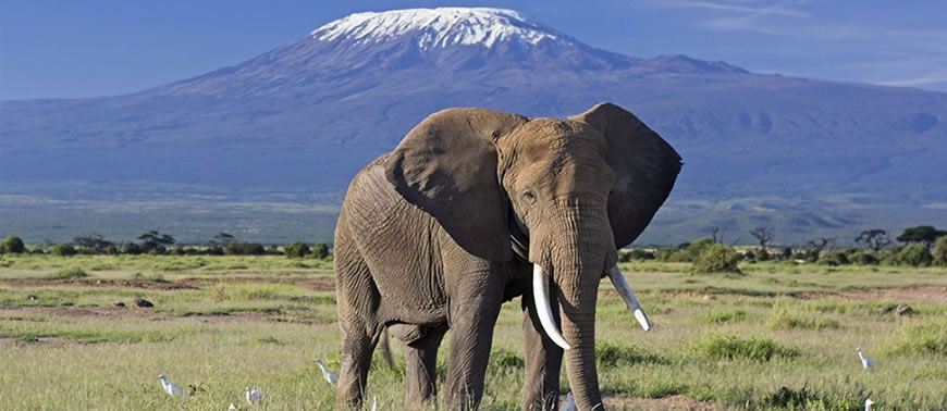 Amboseli National Park
