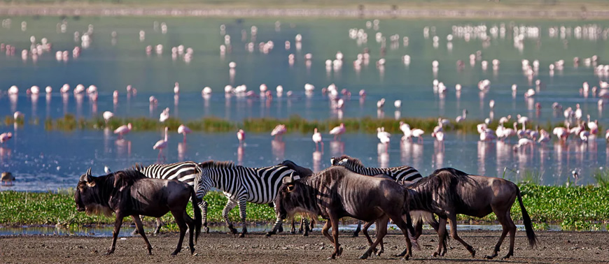 Lake Manyara National Park