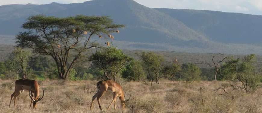 Samburu National Reserve