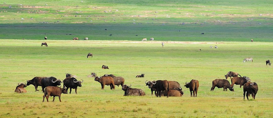 Serengeti National Park