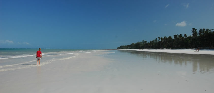 Zanzibar Island