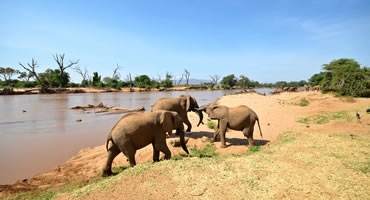 4-Day Samburu Delight Safari