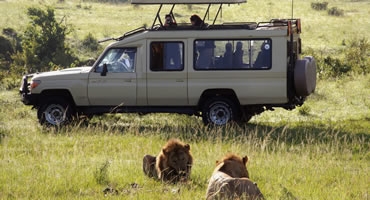 6-Day Lake Manyara, Tarangire, Serengeti & Ngorongoro