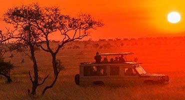 4-Day Migration Safari Serengeti, Ngorongoro & Manyara